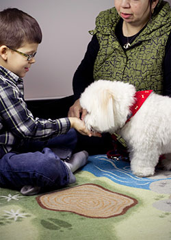 Récompenser un chien